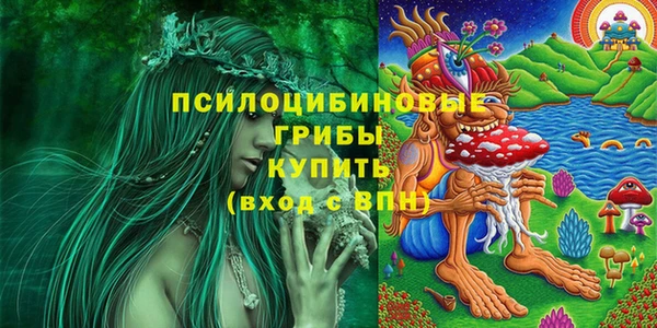 соль курить ск Аркадак