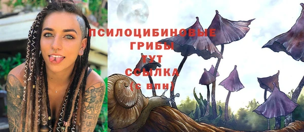 соль курить ск Аркадак